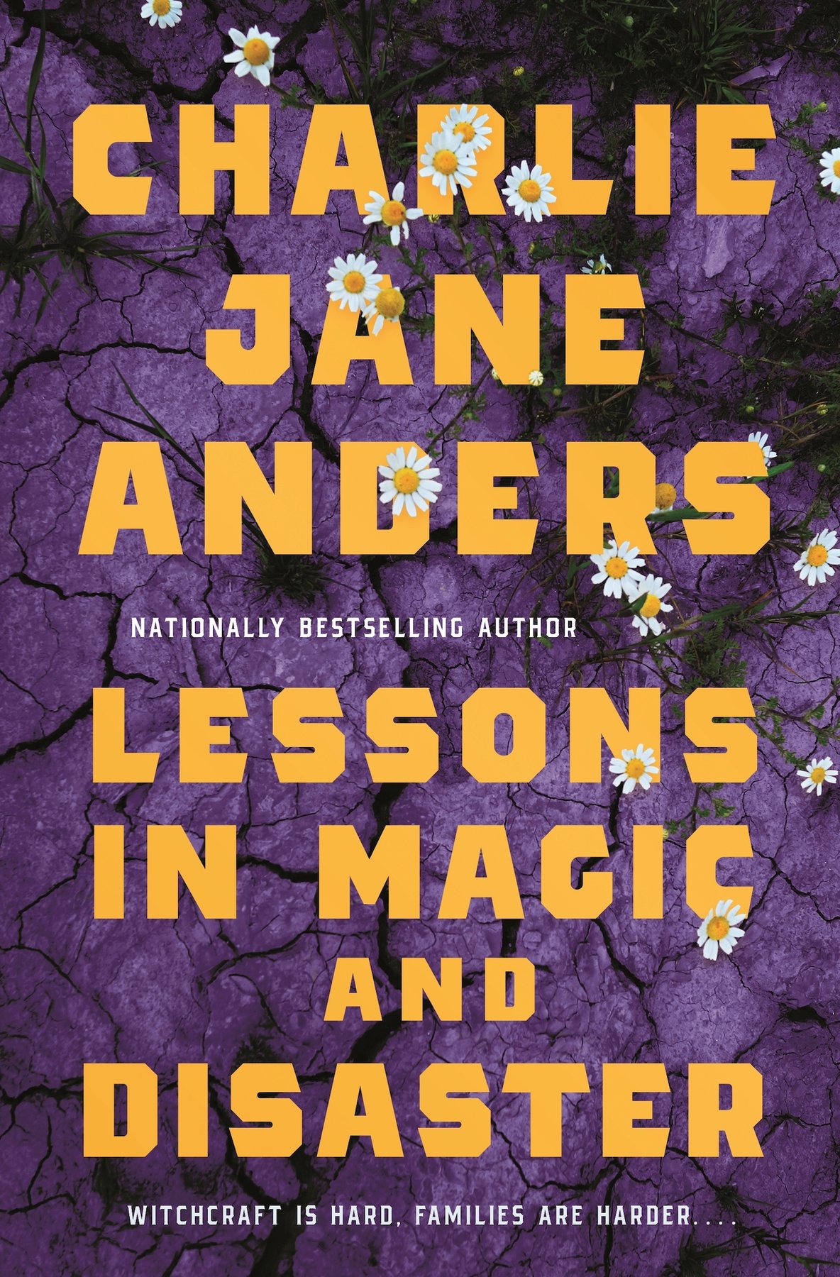 Cover of Lessons in Magic and Disaster
