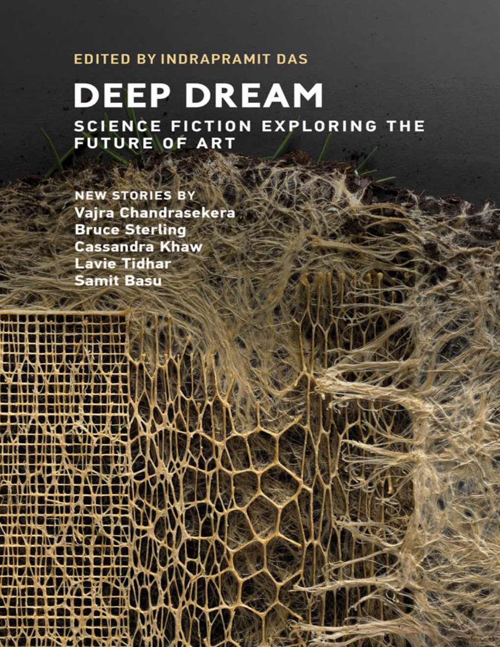 Cover of Deep Dream