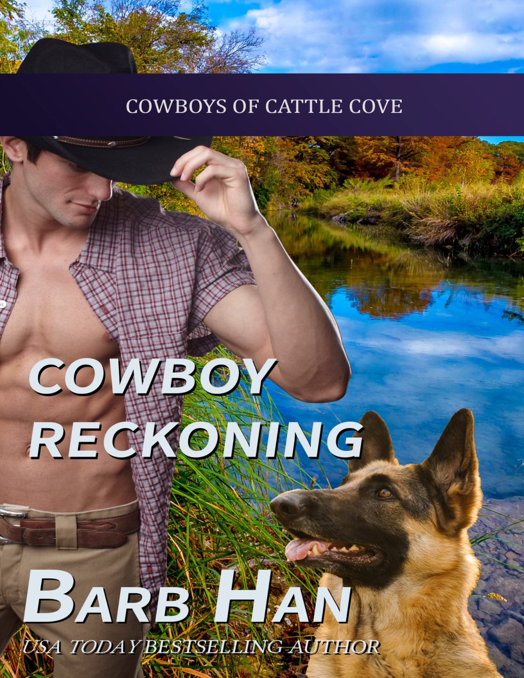 Cover of Cowboy Reckoning