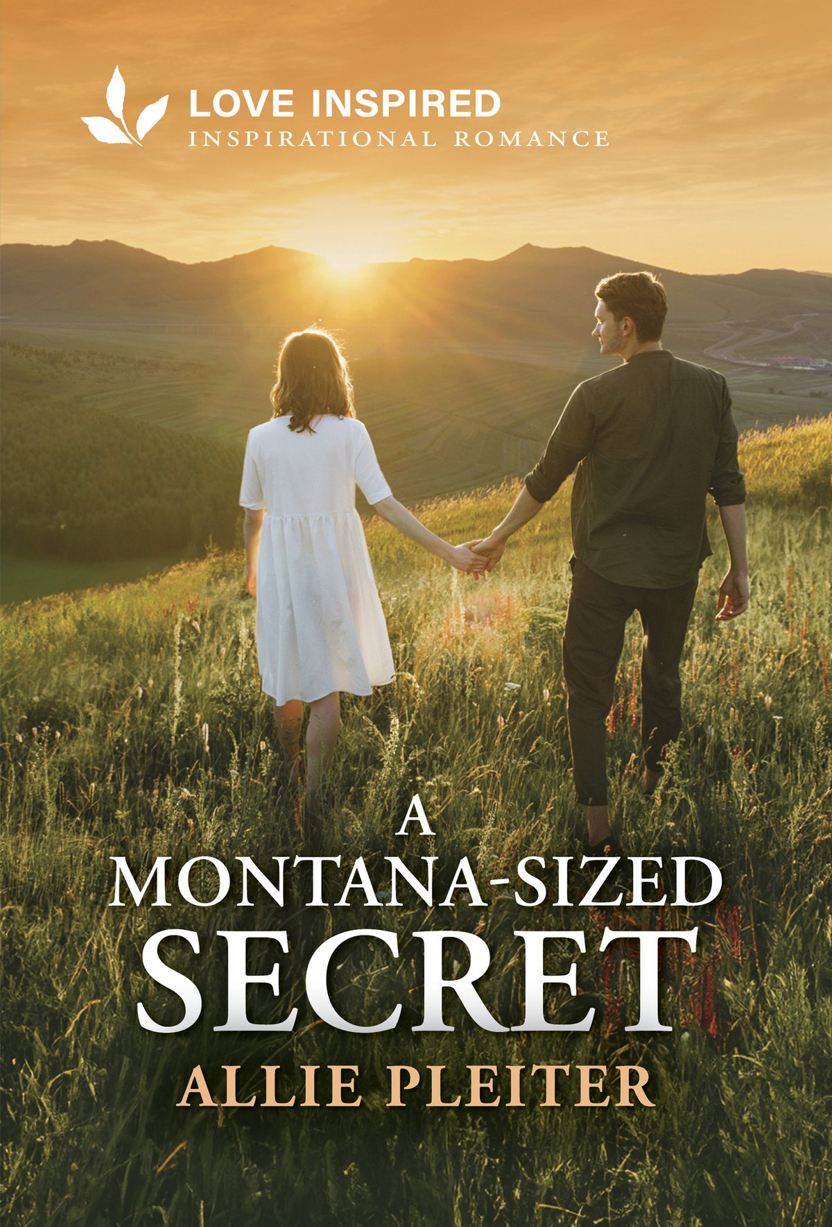 Cover of A Montana-Sized Secret