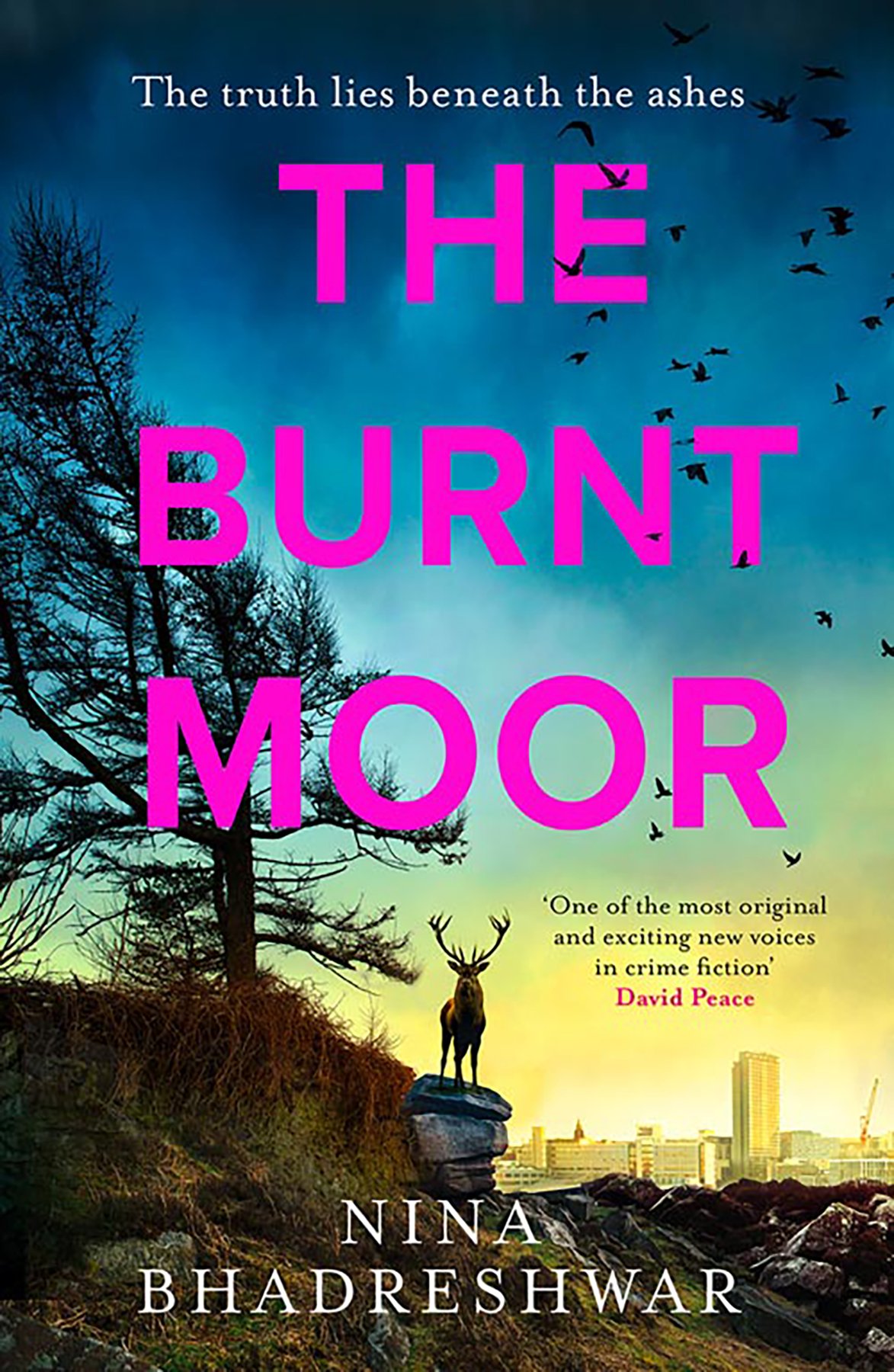 Cover of The Burnt Moor