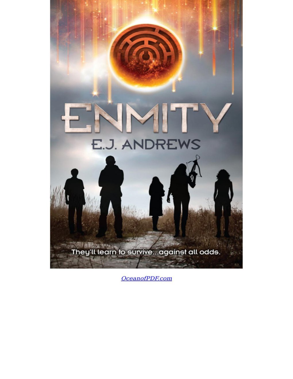 Cover of Enmity (2011)