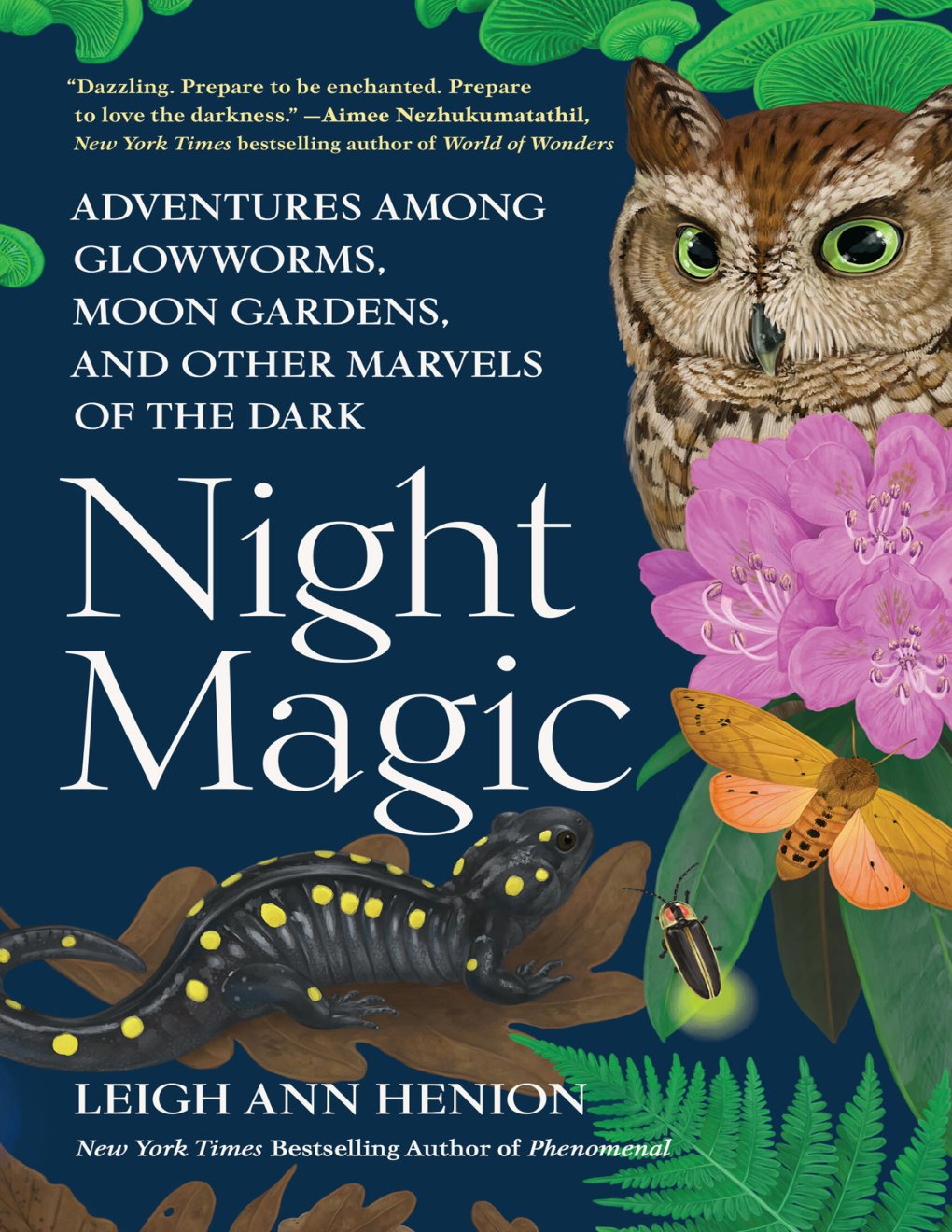 Cover of Night Magic (2005)