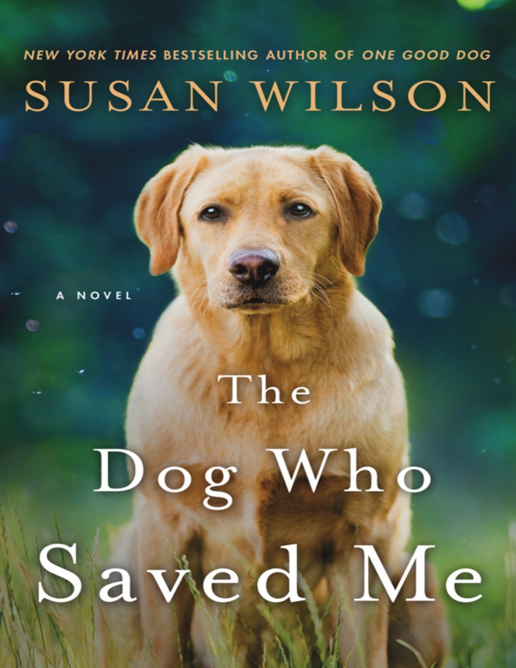 Cover of The Dog Who Saved Me