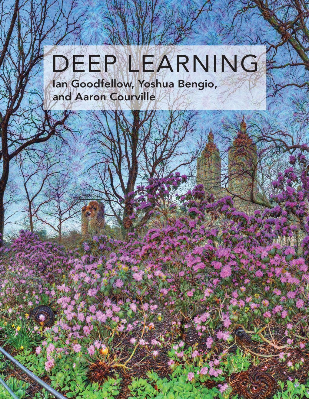 Cover of DeepLearning