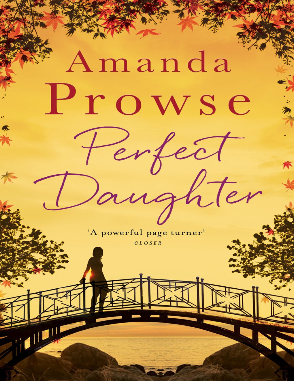 Cover of Perfect Daughter