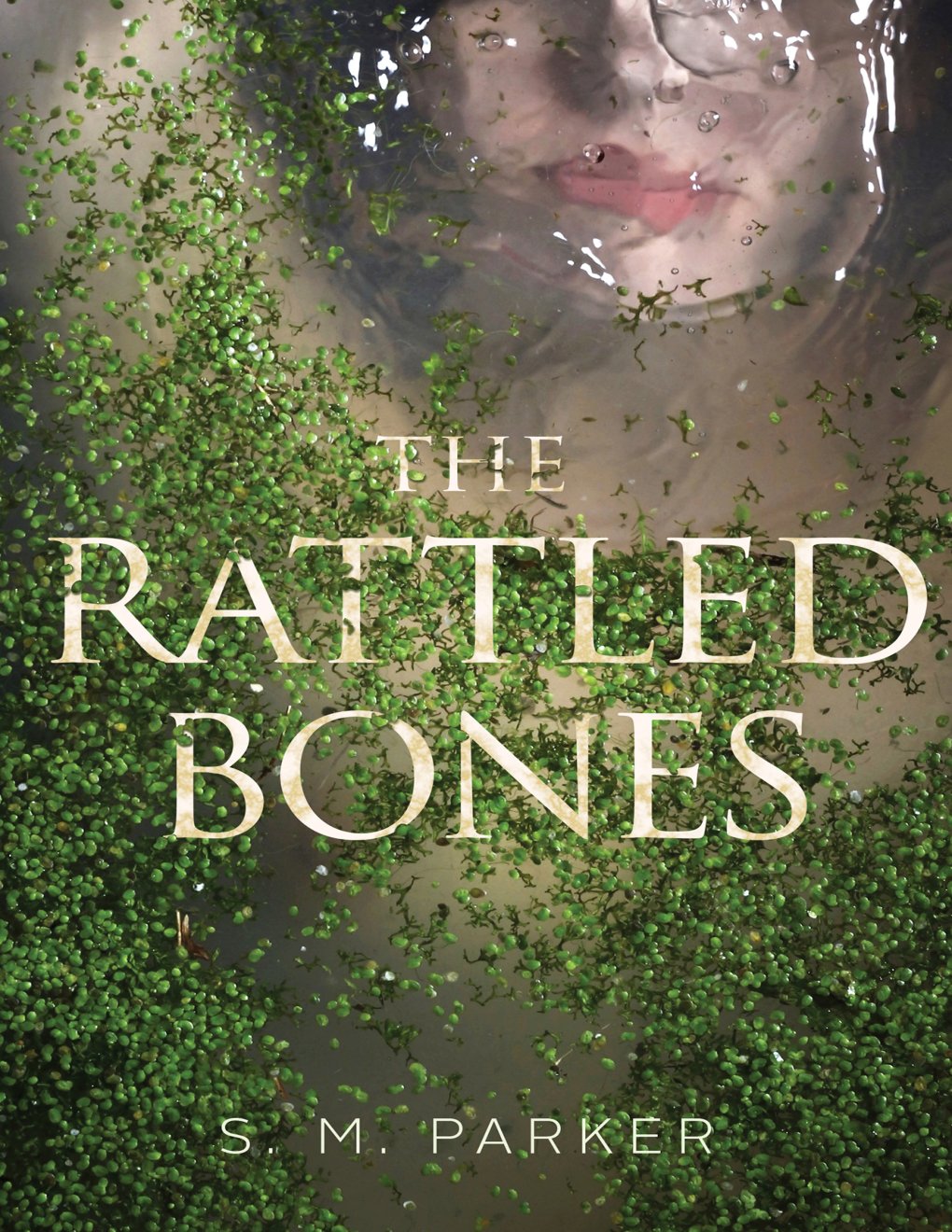 Cover of The Rattled Bones (1909)