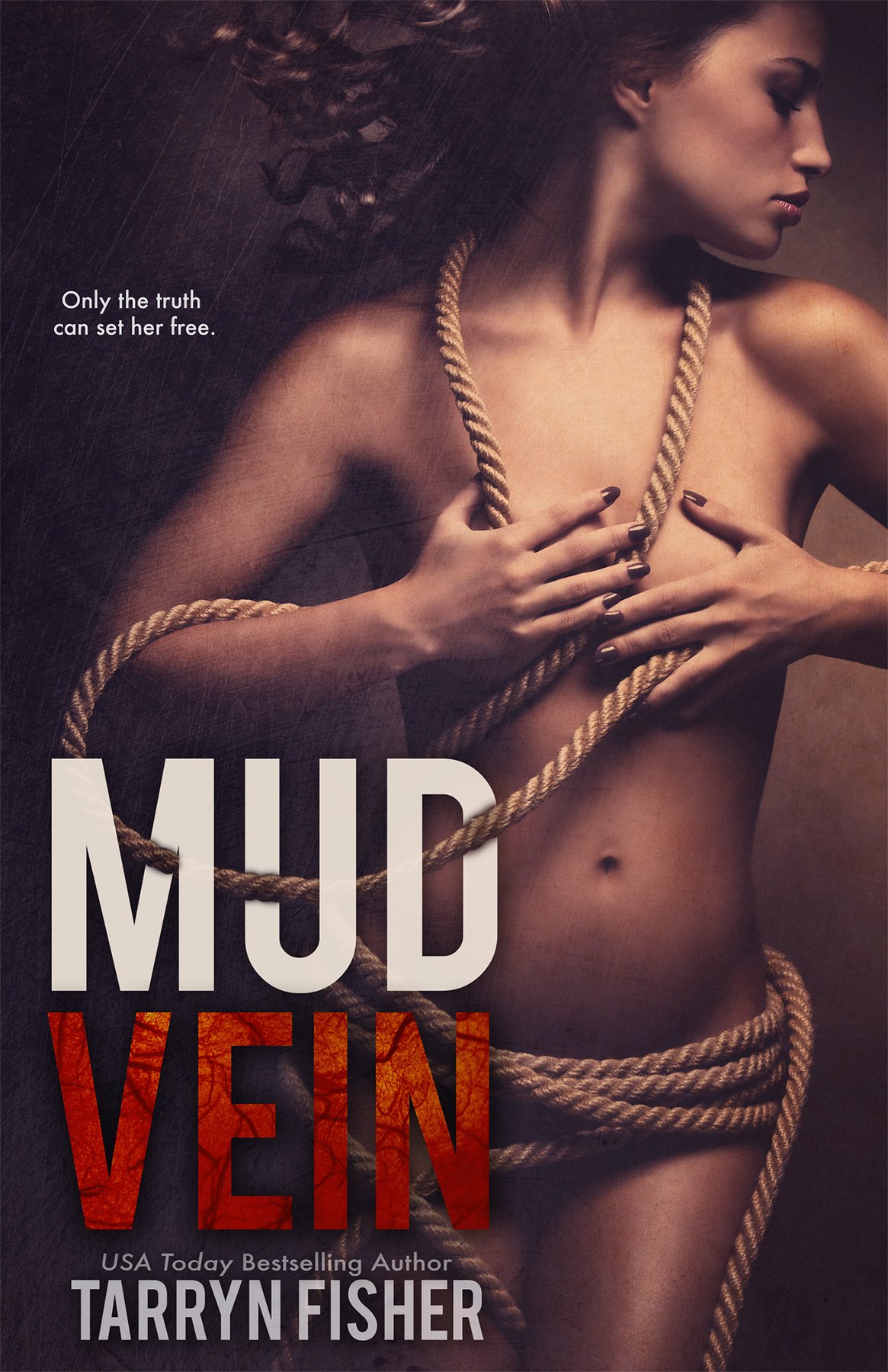Cover of Mud Vein