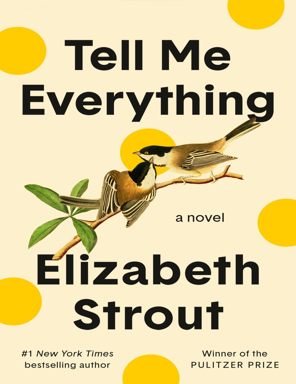 Cover of Tell Me Everything: A Novel