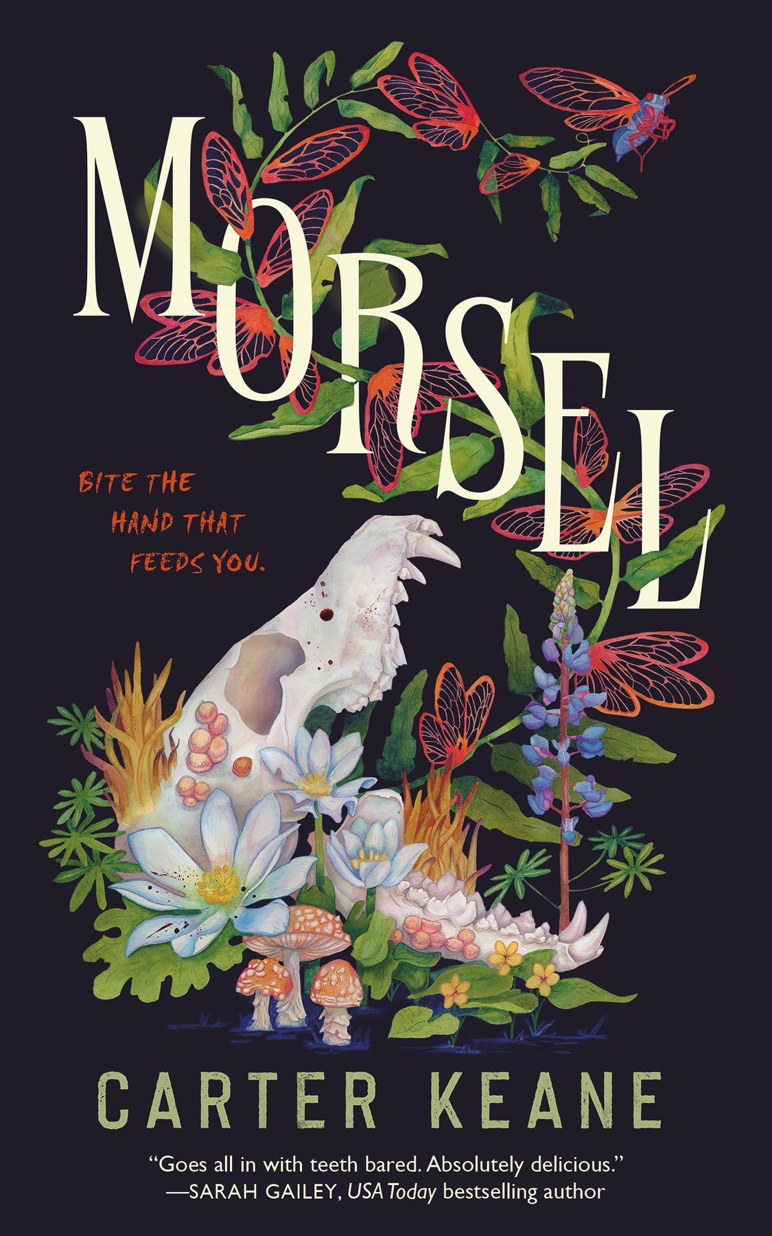 Cover of Morsel