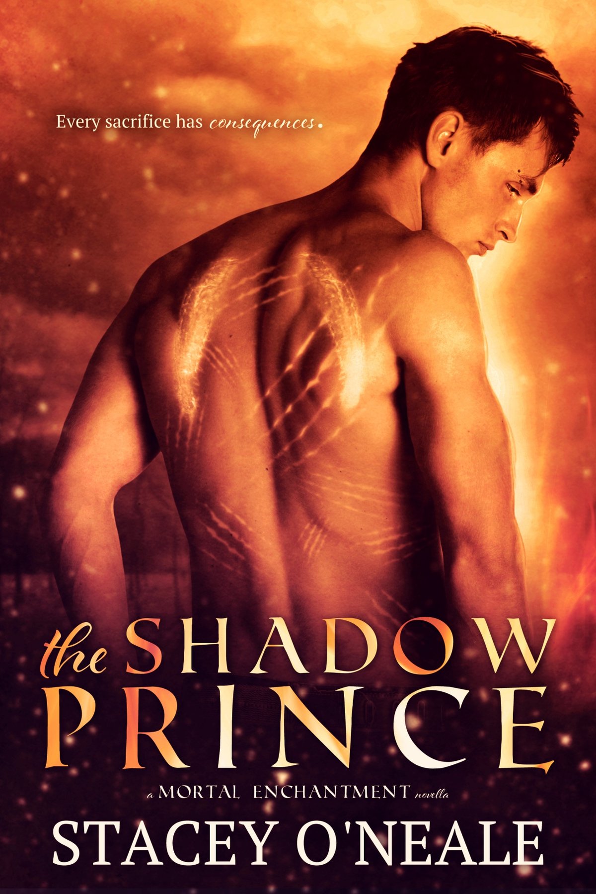 Cover of The Shadow Prince