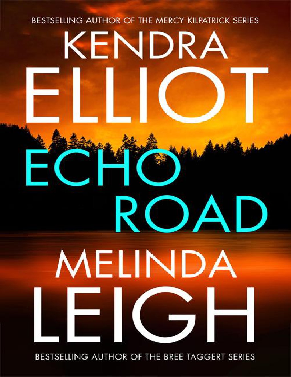 Cover of Echo Road