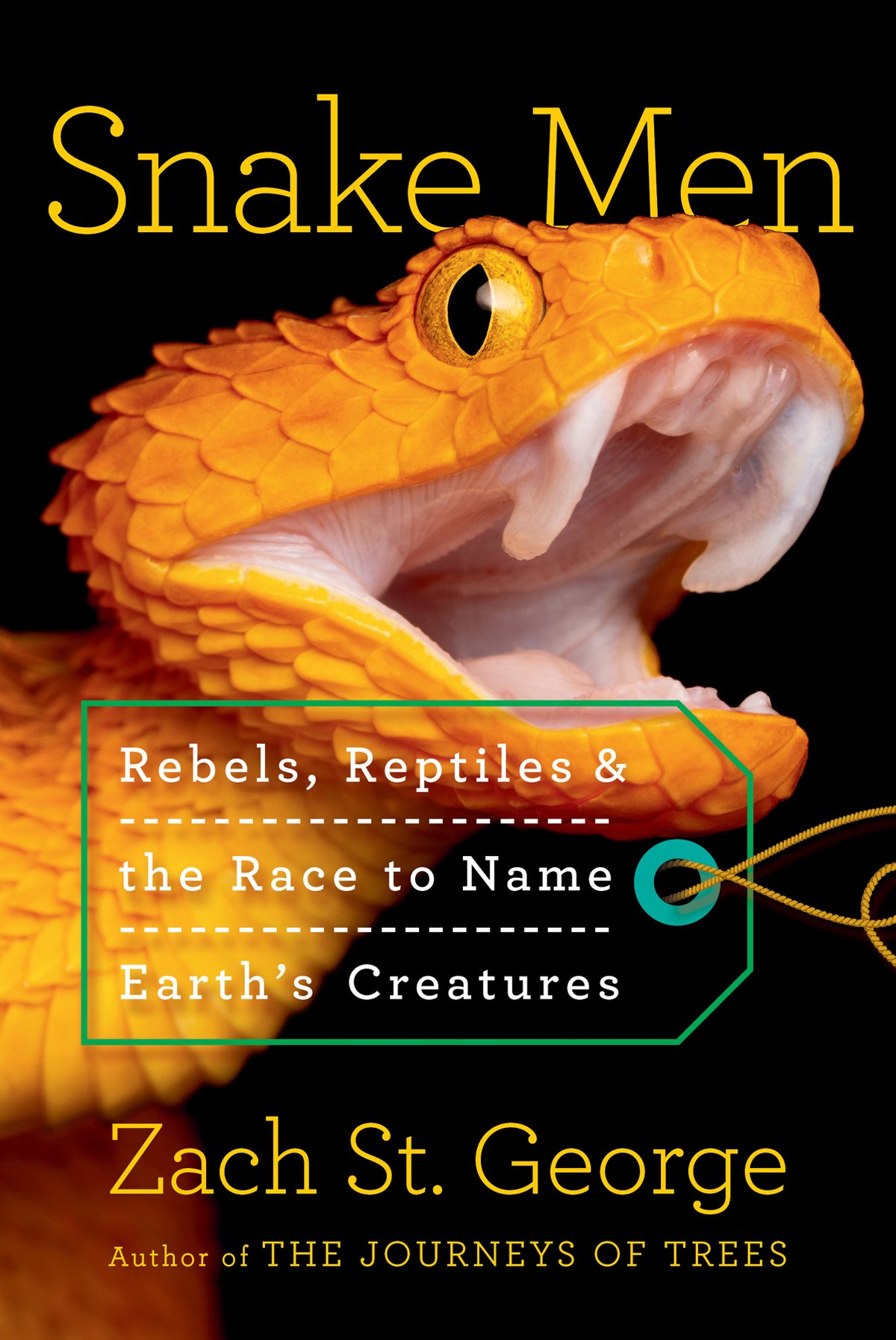 Cover of Snake Men