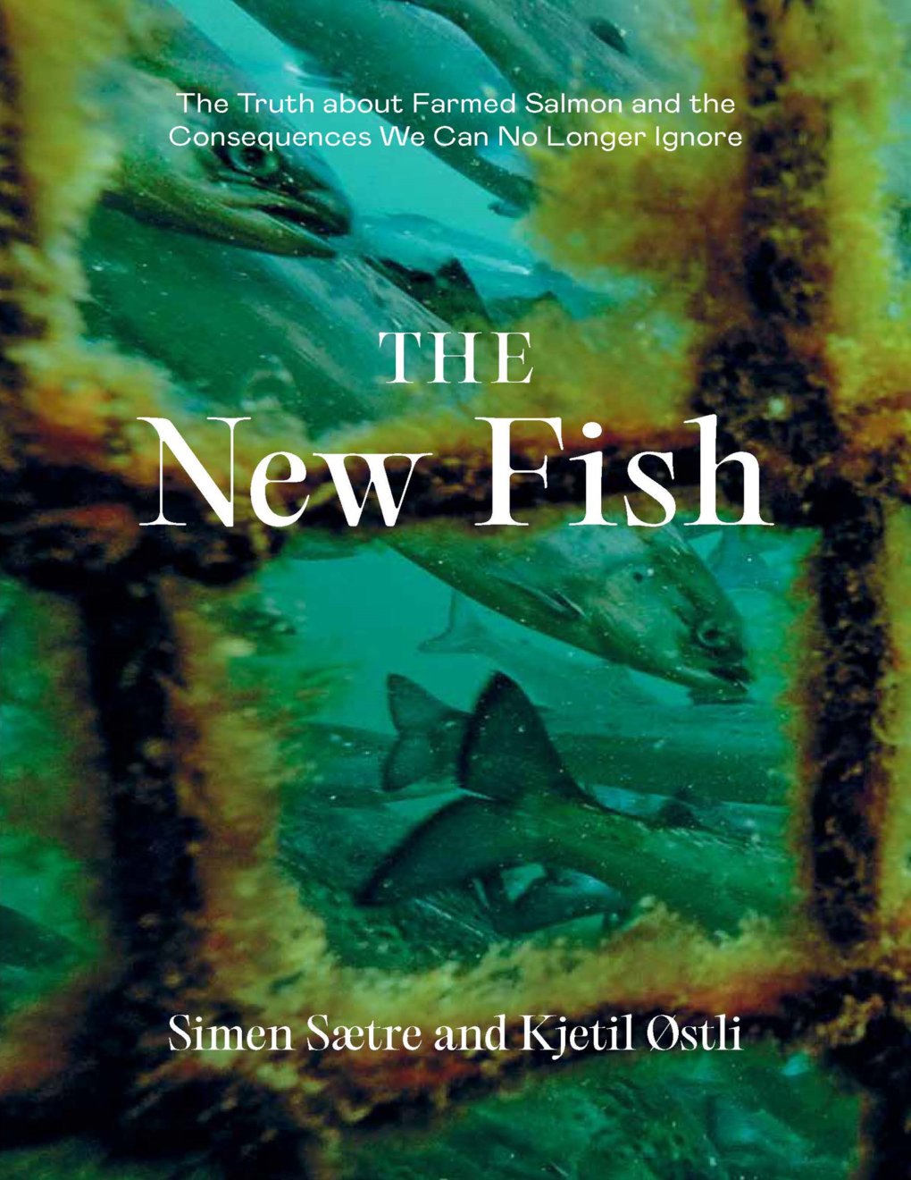 Cover of The New Fish