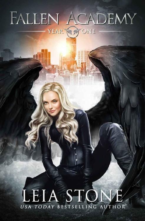 Cover of Fallen Academy: Year One