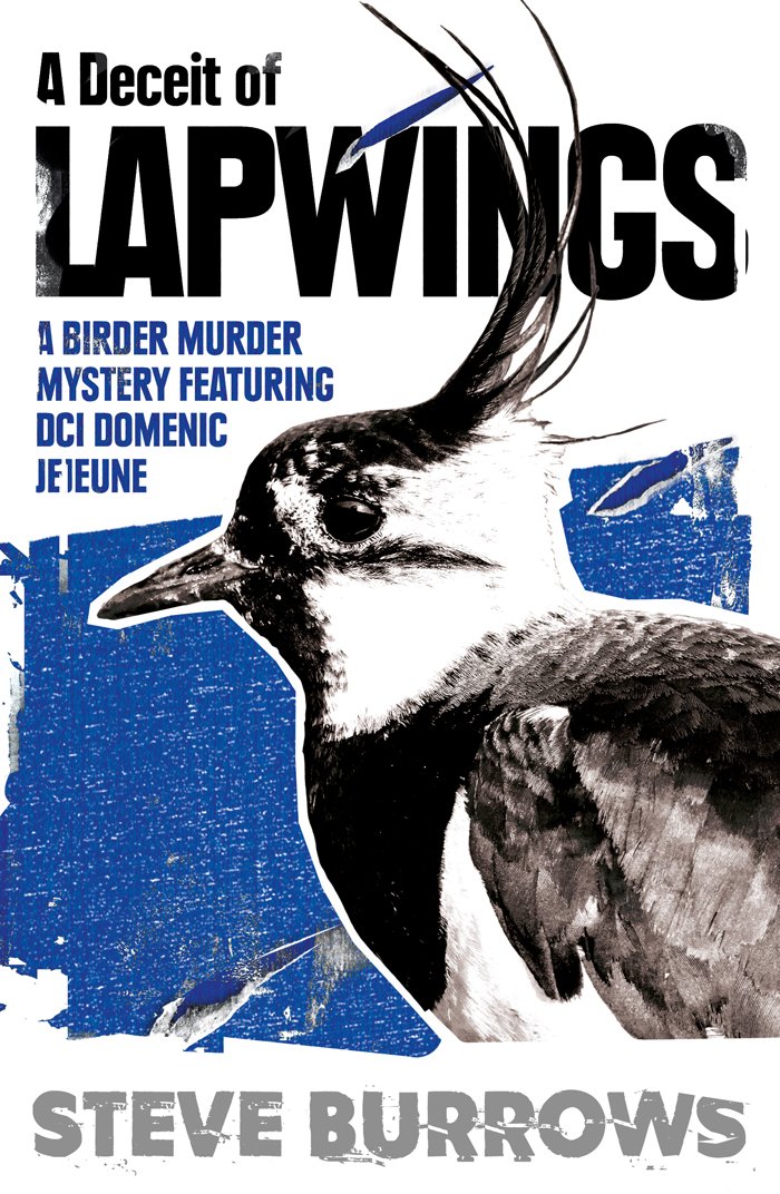 Cover of A Deceit of Lapwings (1895)