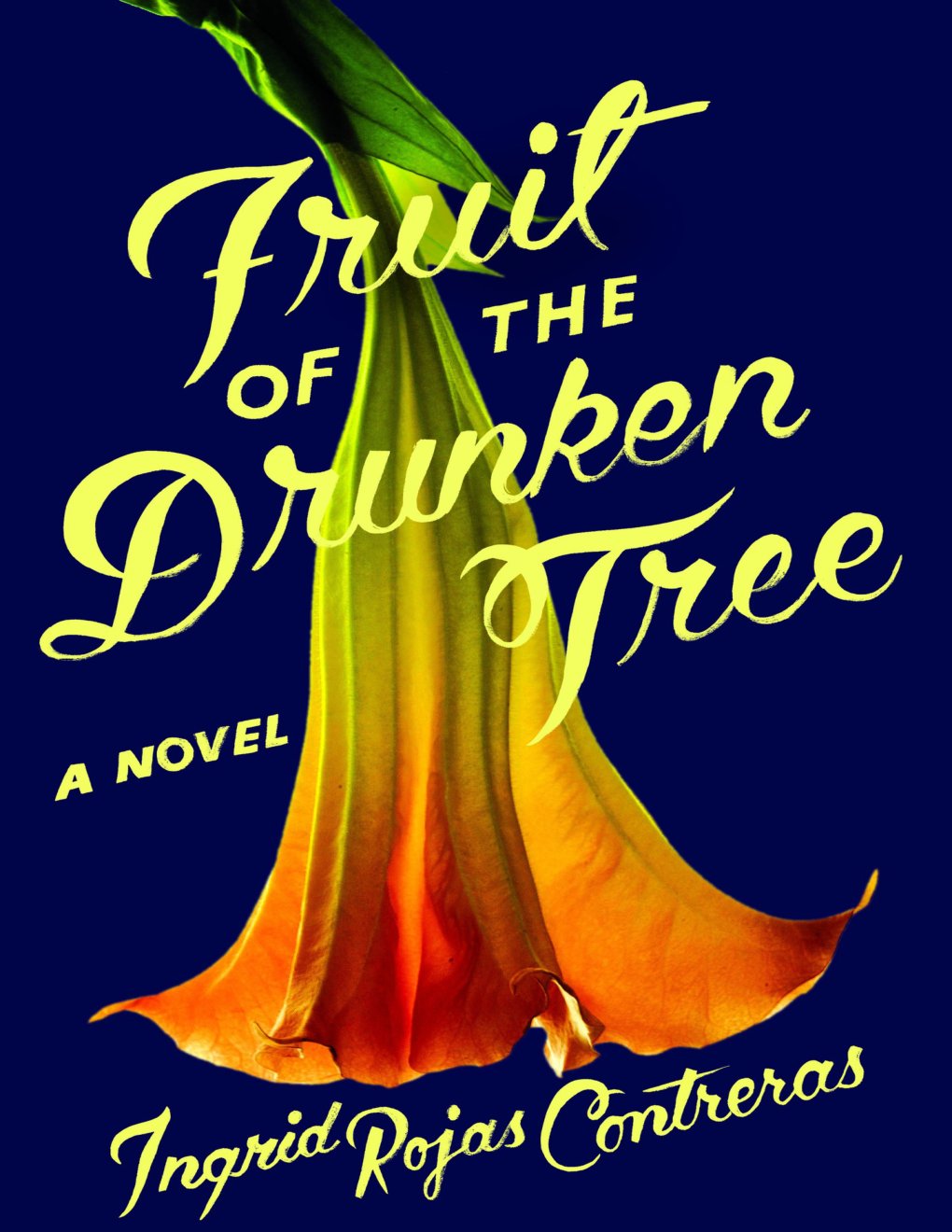 Cover of Fruit of the Drunken Tree: A Novel