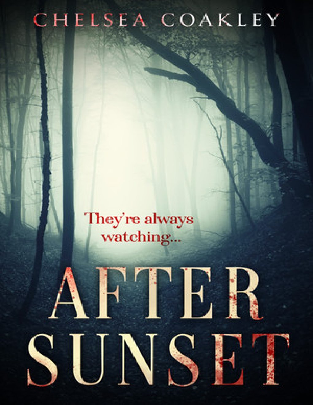 Cover of After Sunset