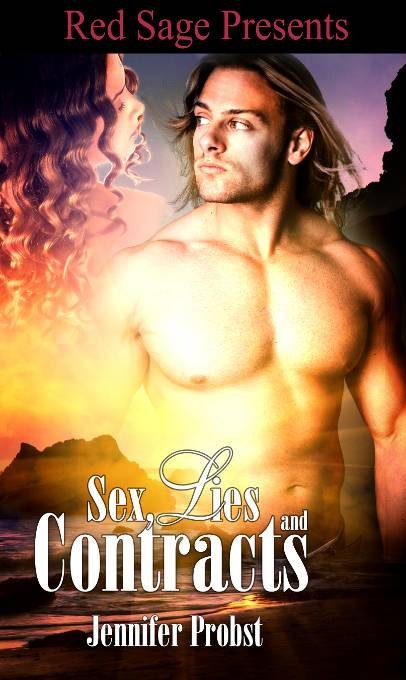 Cover of Sex, Lies and Contracts