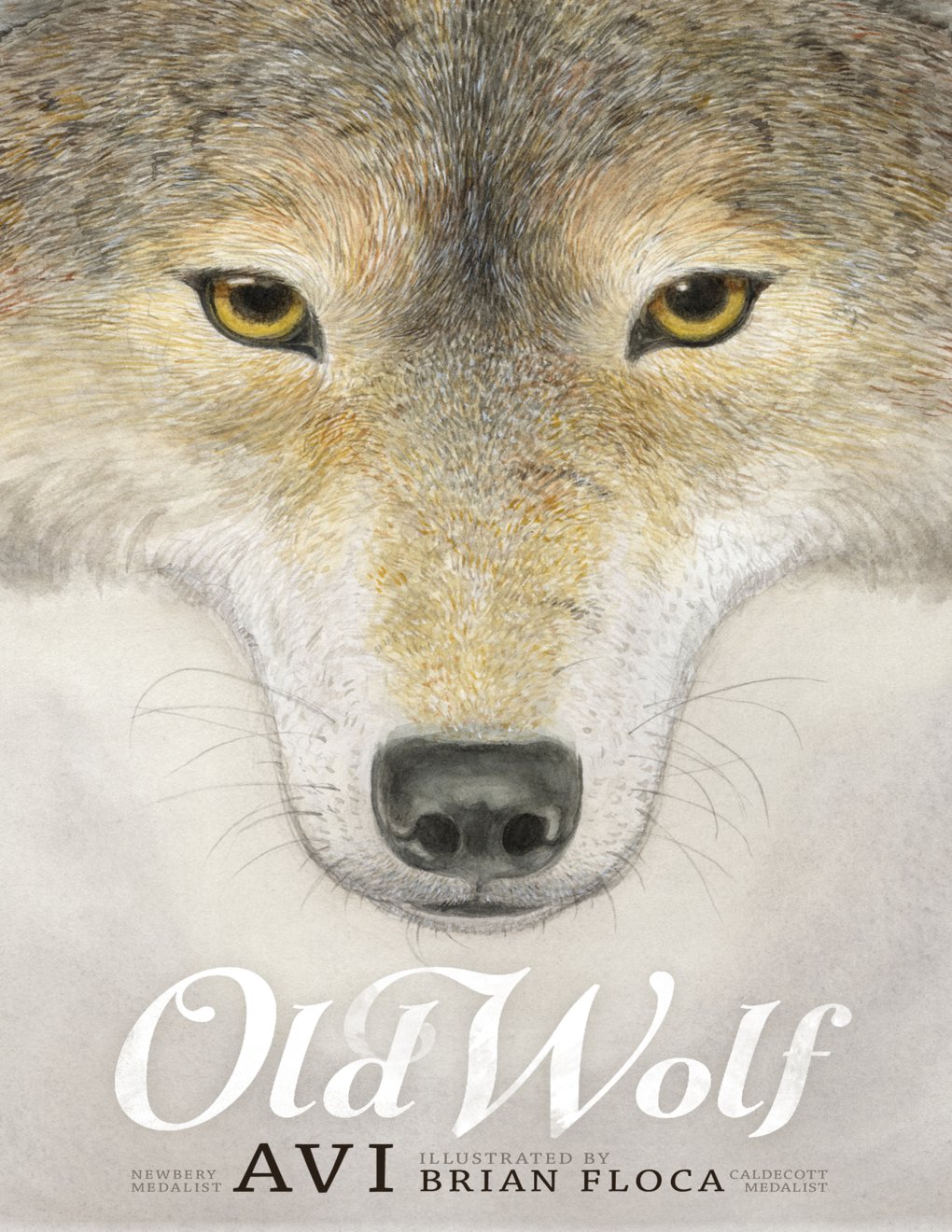 Cover of Old Wolf