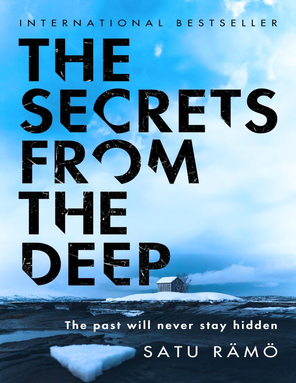 Cover of THE SECRETS FROM THE DEEP