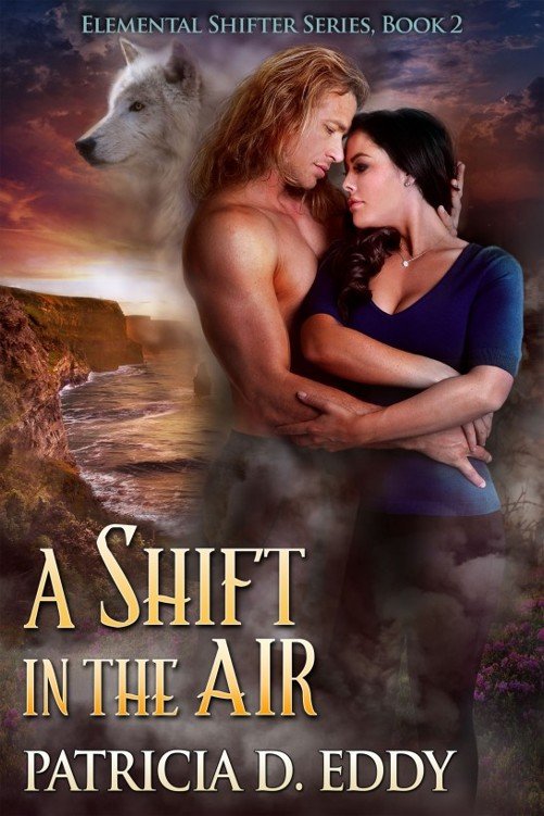 Cover of A Shift in the Air
