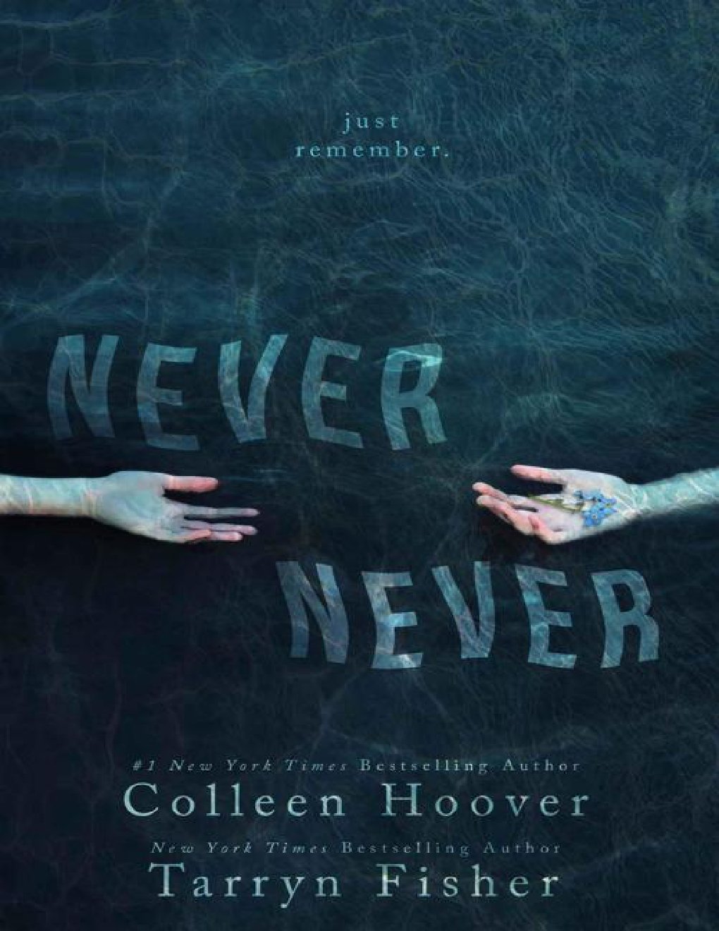 Cover of Never Never