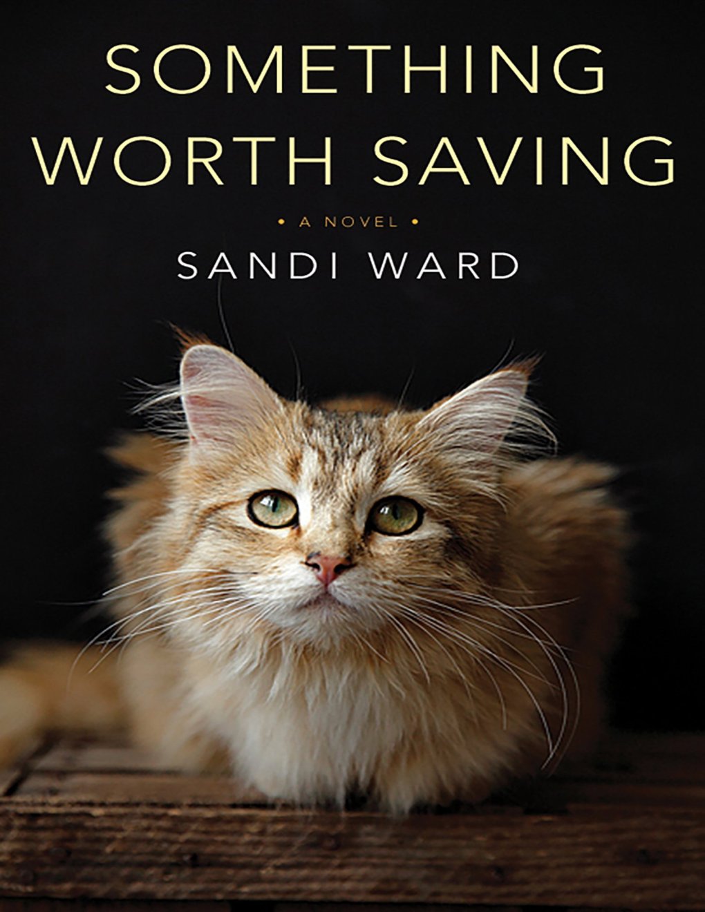 Cover of Something Worth Saving