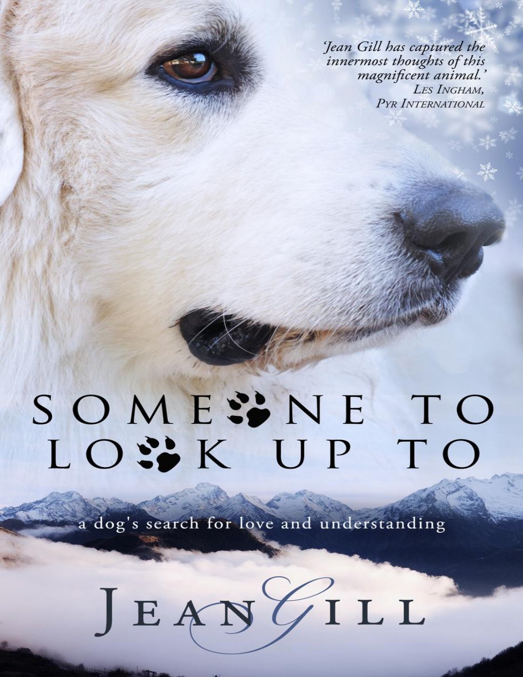 Cover of Someone to Look Up To