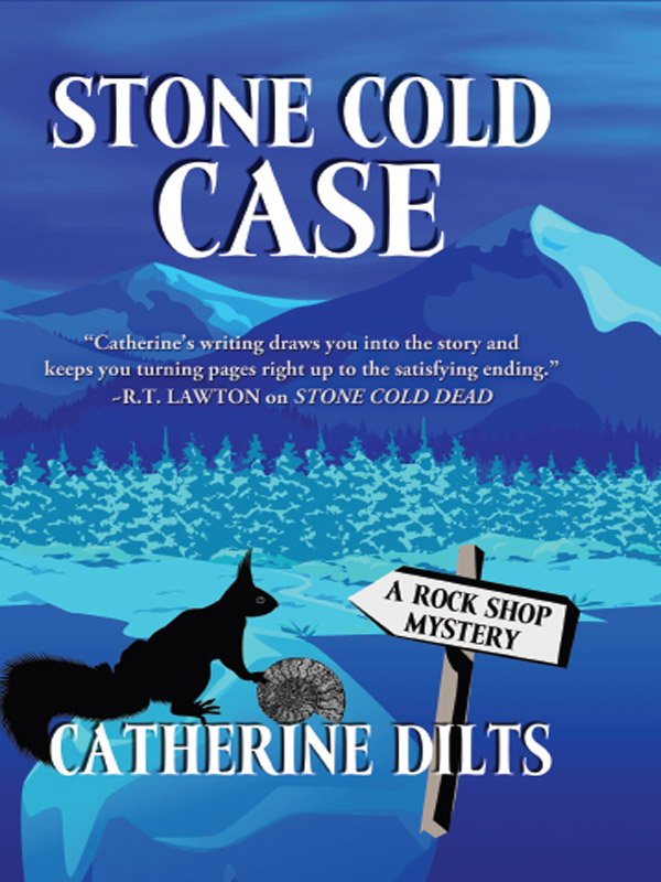Cover of Stone Cold Case (1976)