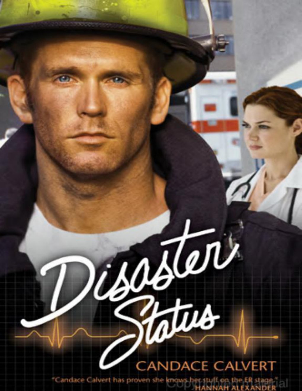 Cover of Disaster Status