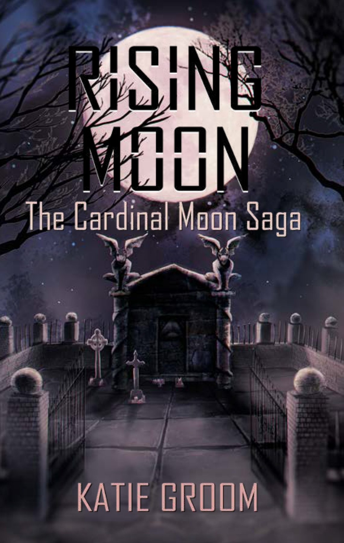 Cover of Rising Moon (2024)