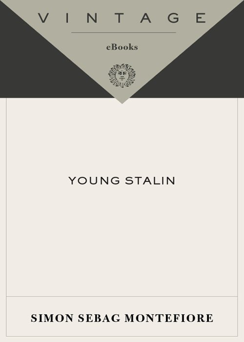 Cover of Young Stalin