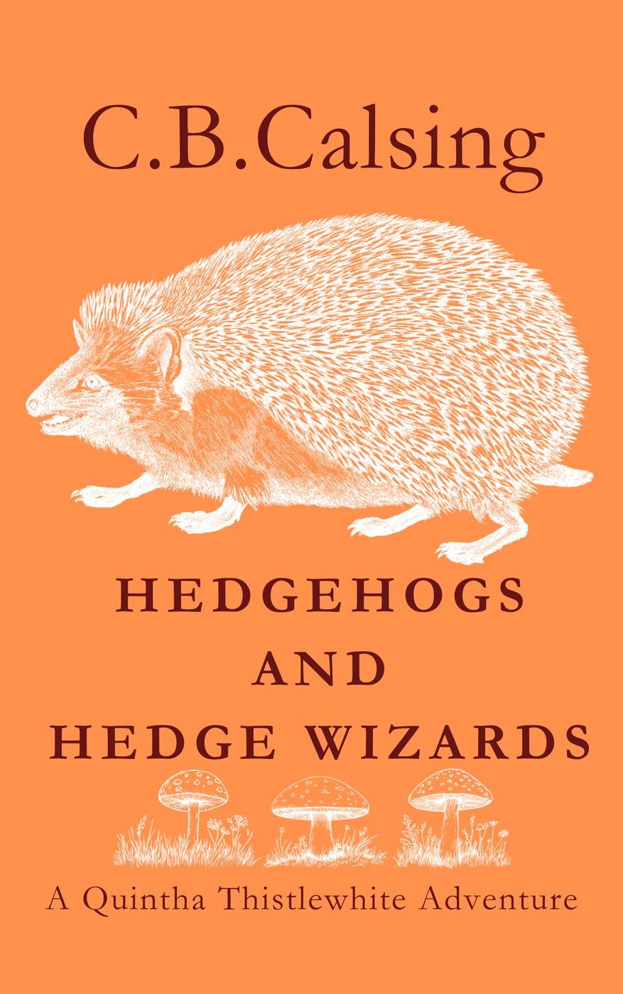 Cover of Hedgehogs and Hedge Wizards (2026)