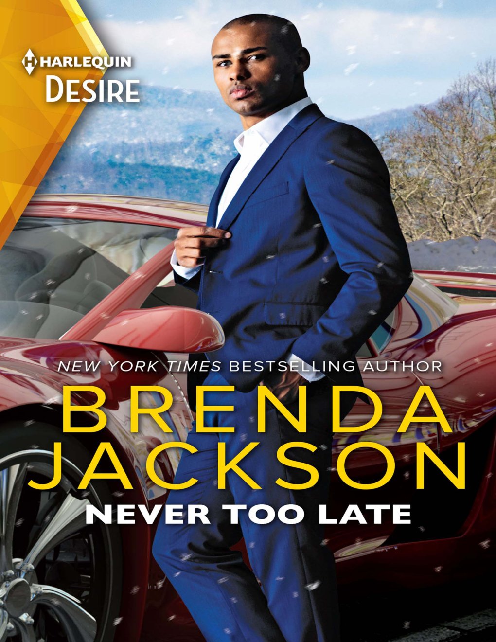 Cover of Never Too Late