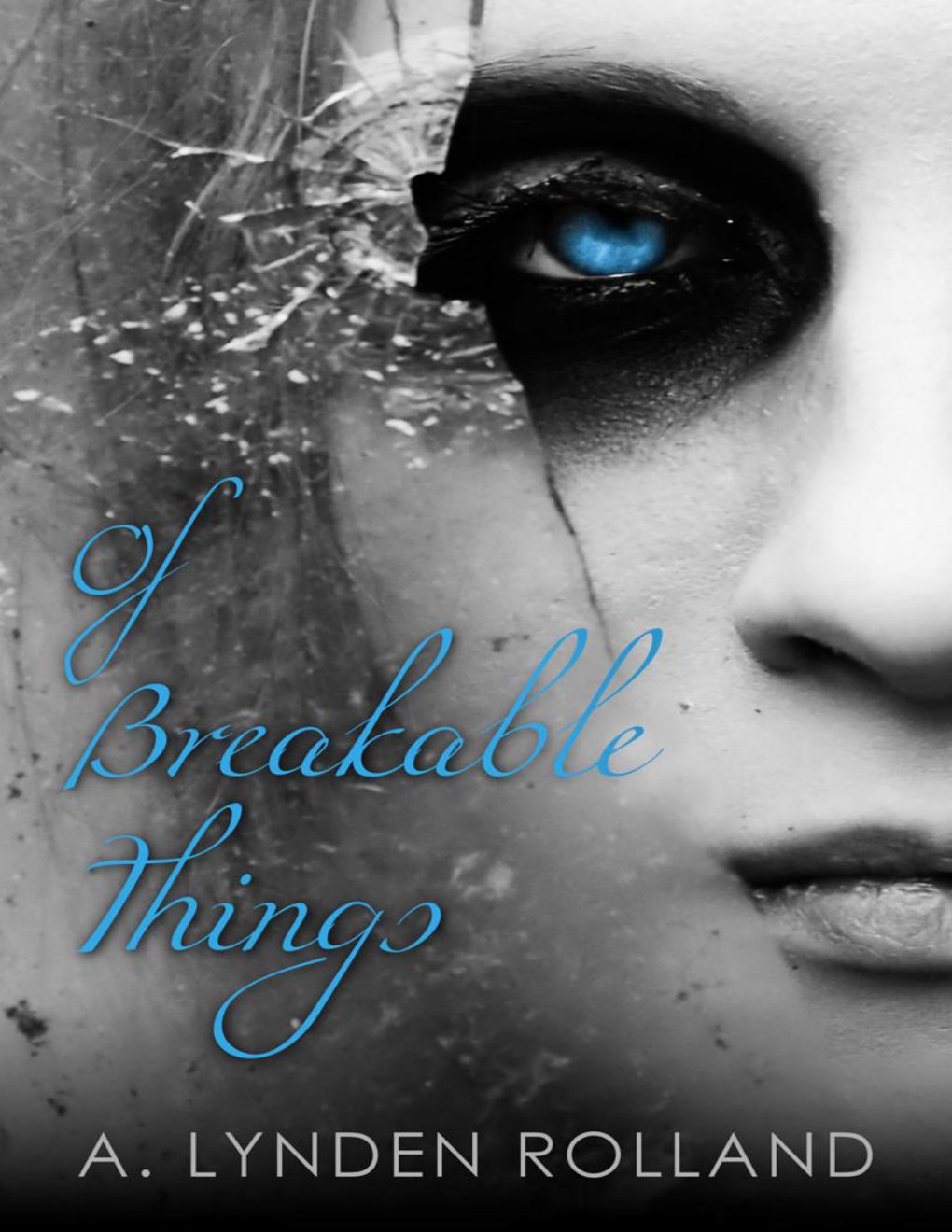 Cover of Of Breakable Things (2013)
