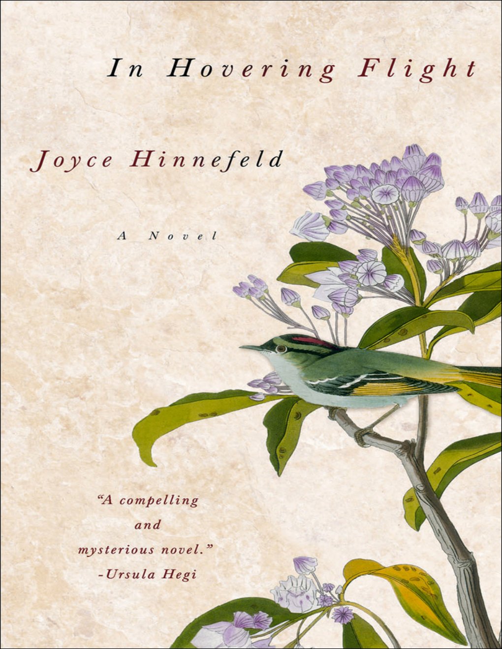 Cover of In Hovering Flight