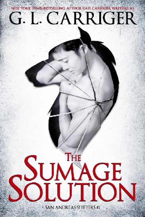 Cover of Sumage Solution