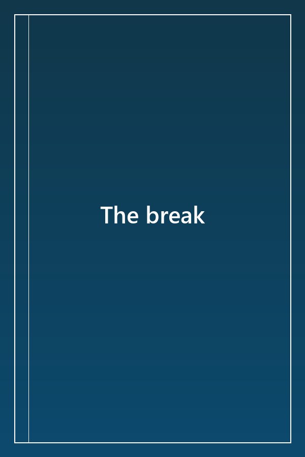 Cover of The break