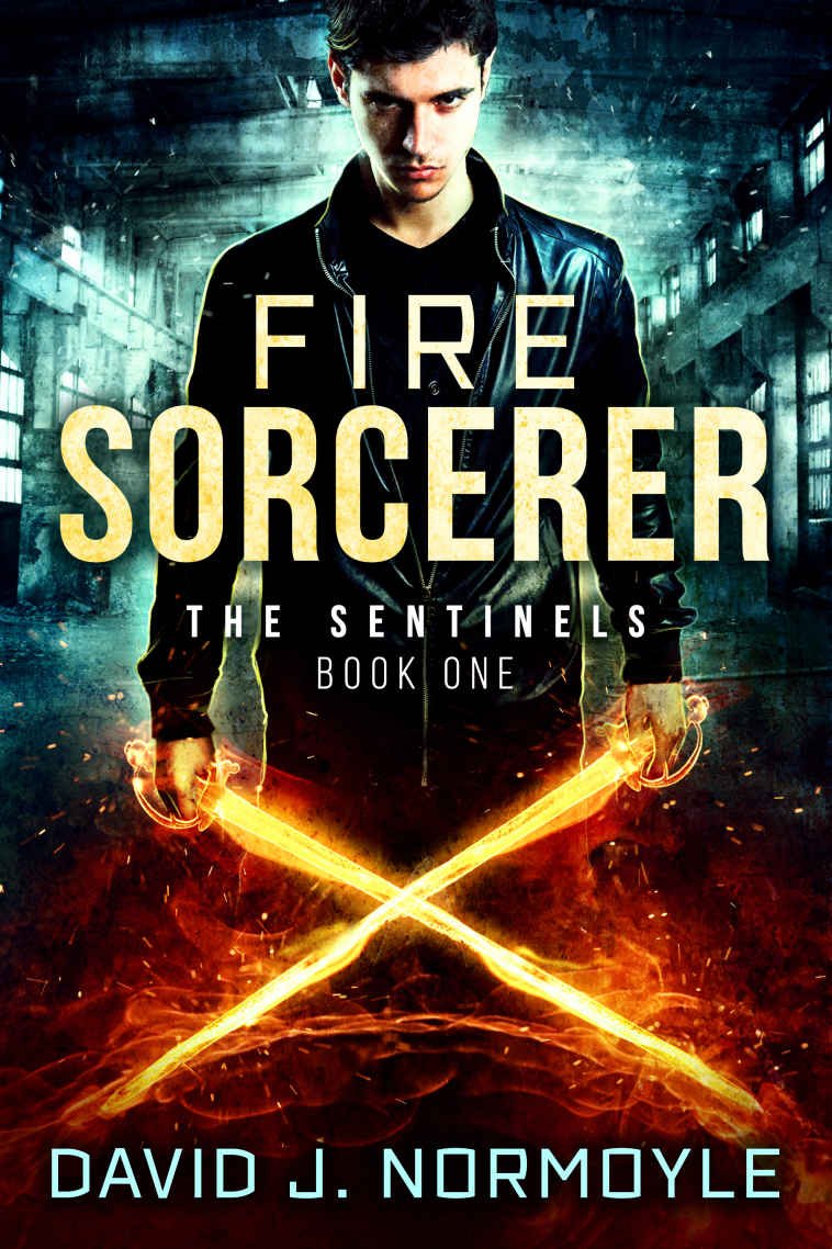 Cover of Fire Sorcerer (2016)