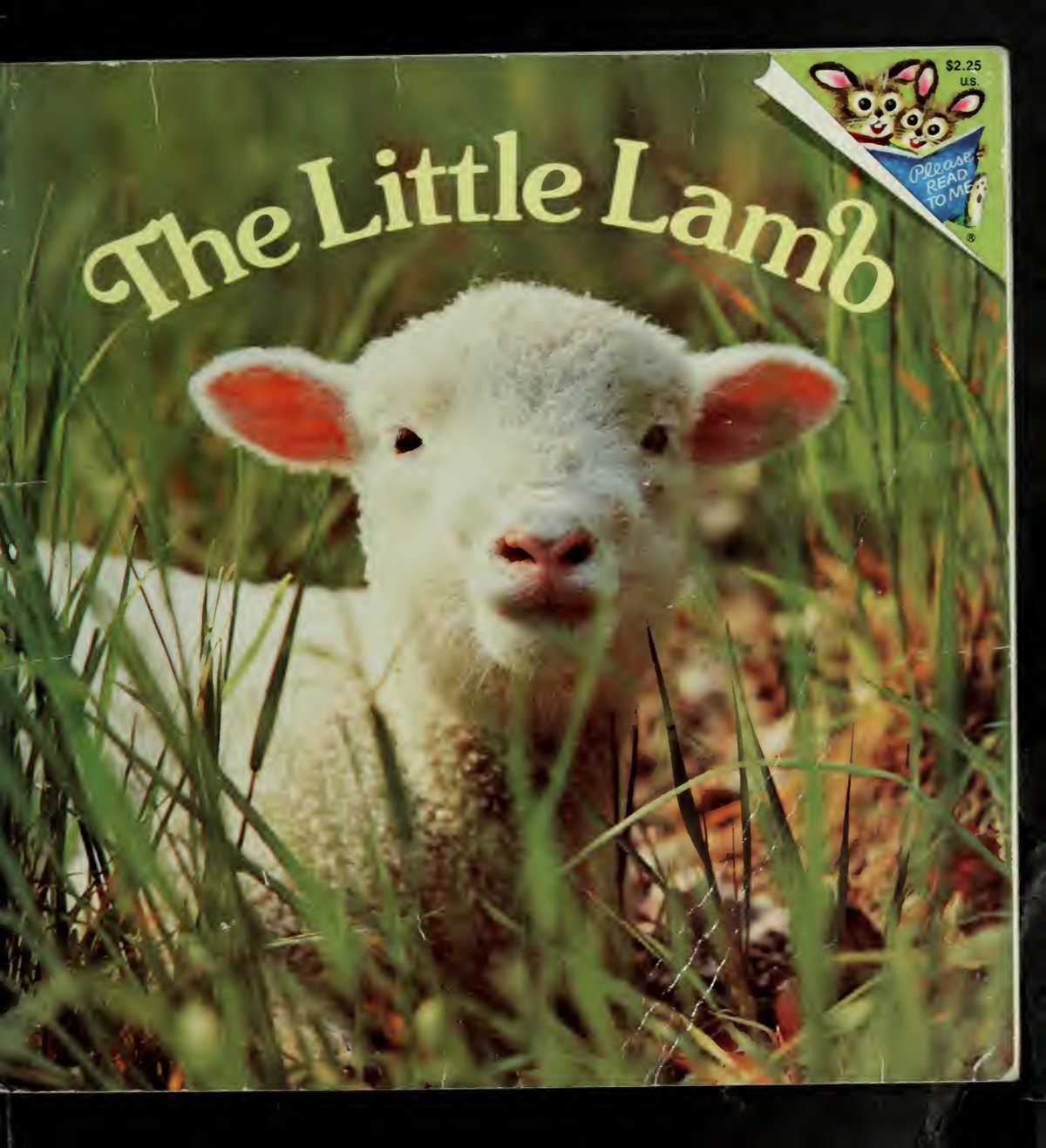 Cover of The little lamb
