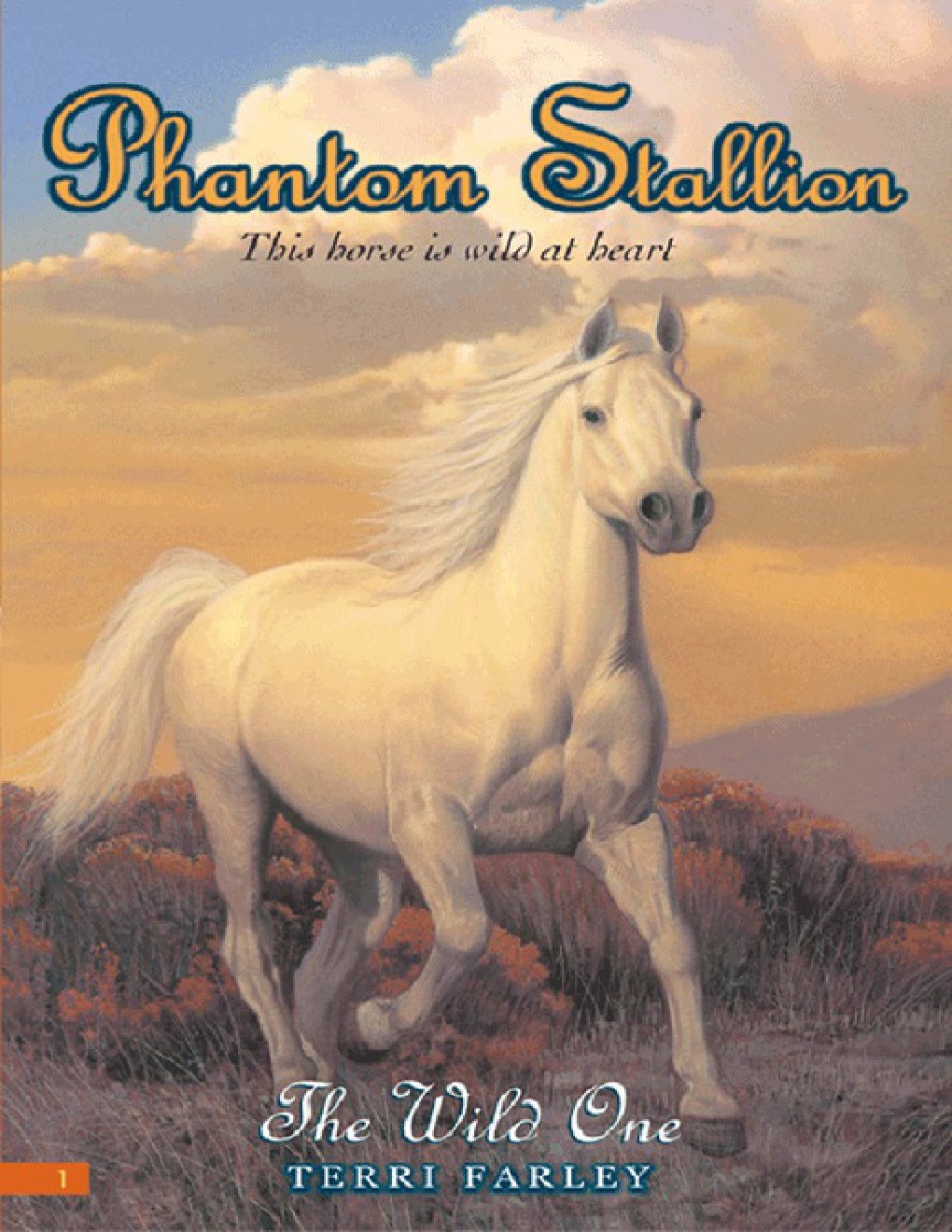 Cover of The Wild One