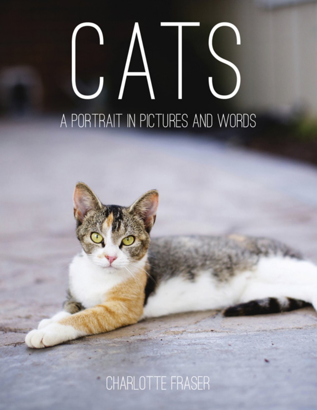 Cover of Cats