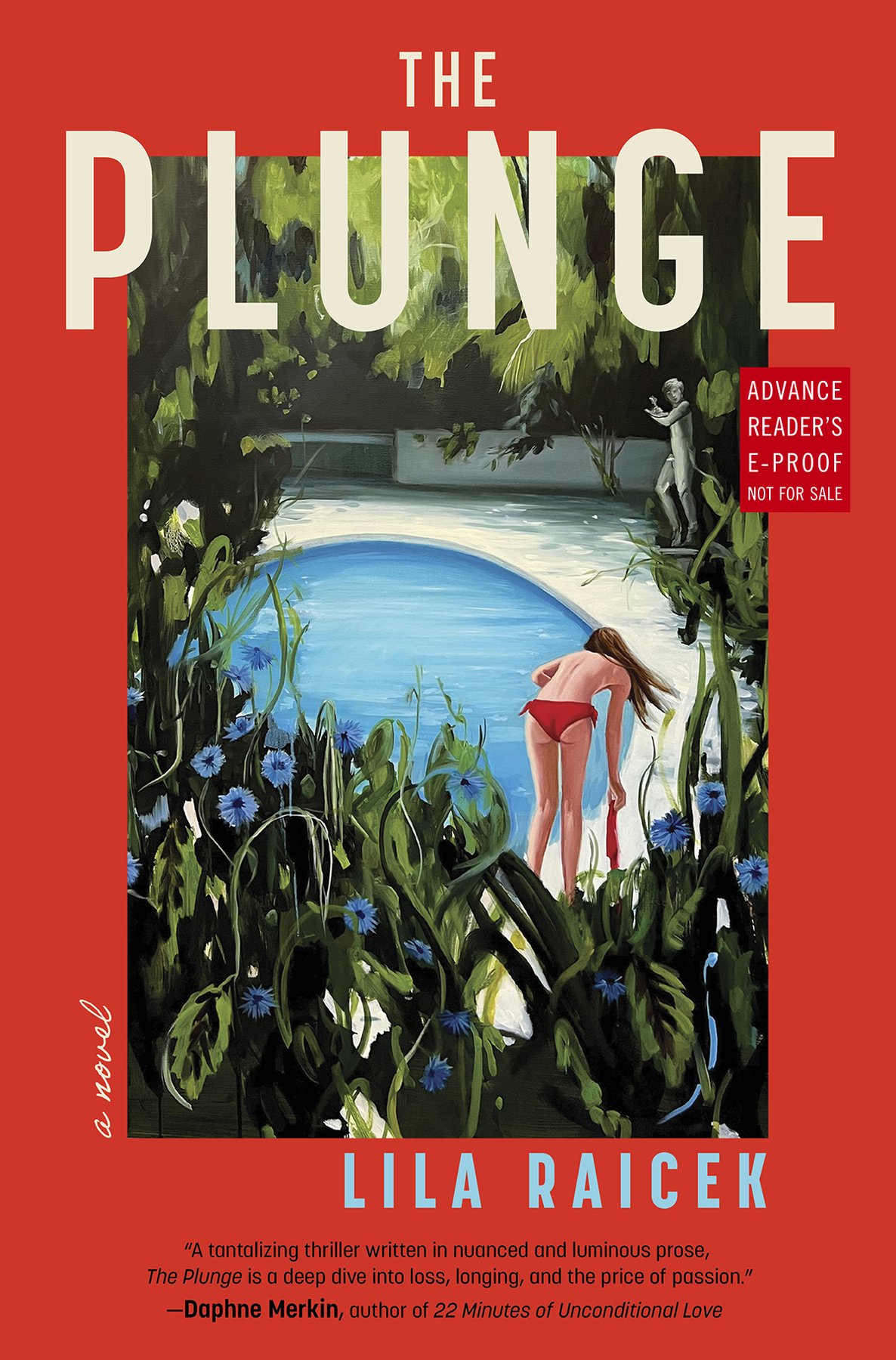 Cover of The Plunge