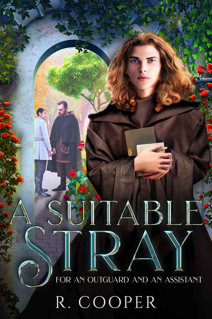 Cover of A Suitable Stray (2025)