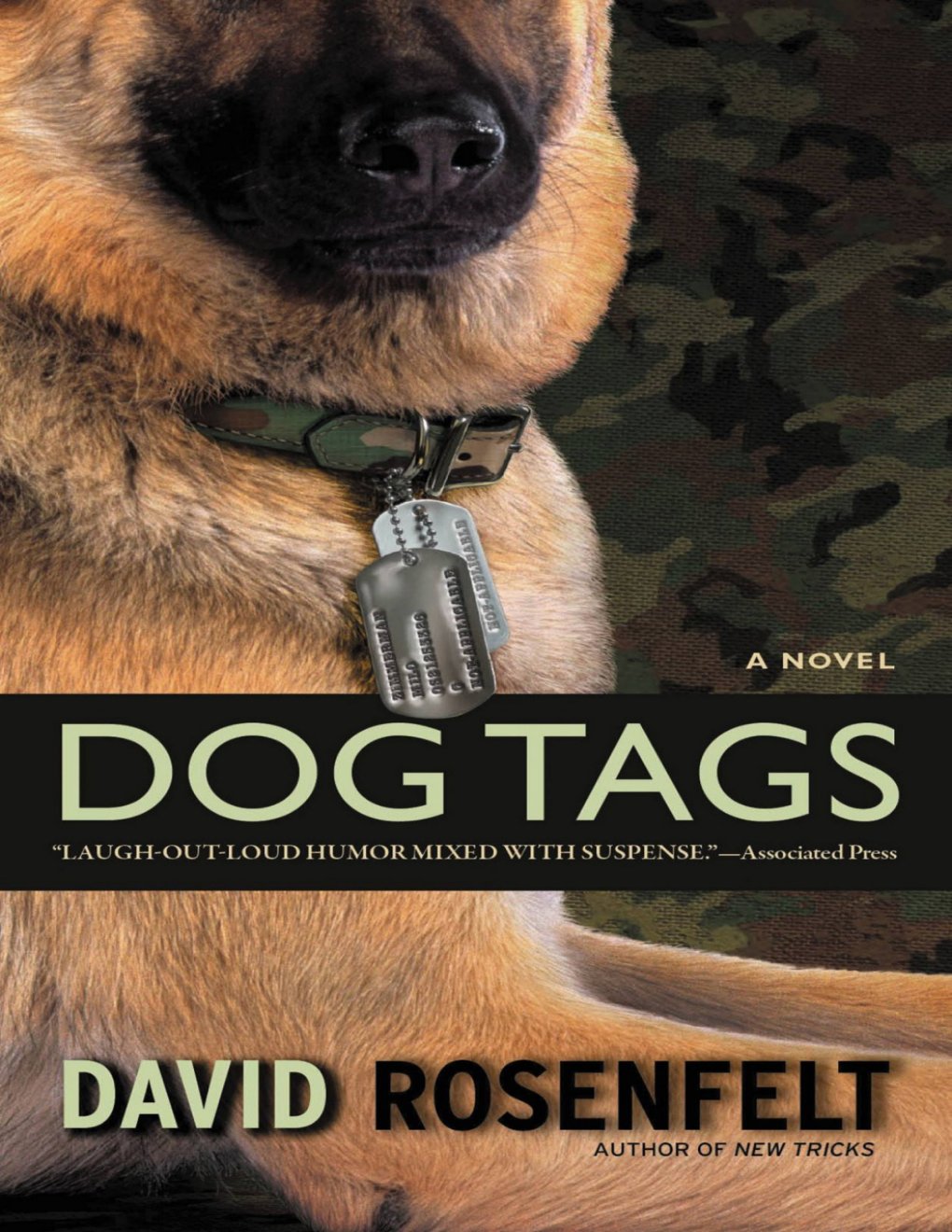Cover of Dog Tags