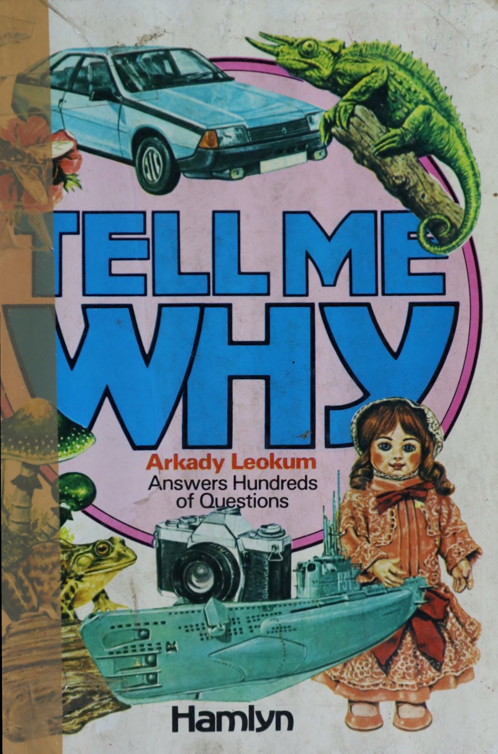 Cover of Tell Me Why