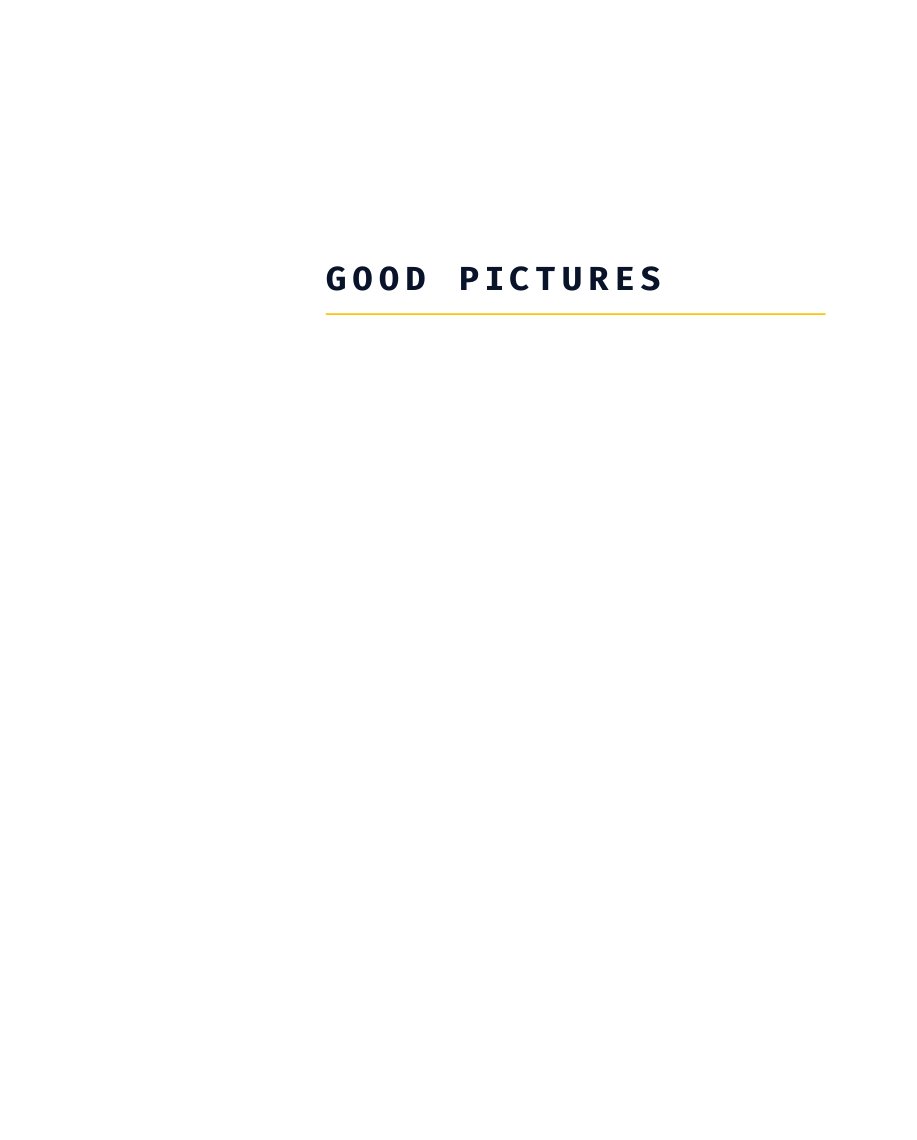 Cover of G O O D P IC T U R E S