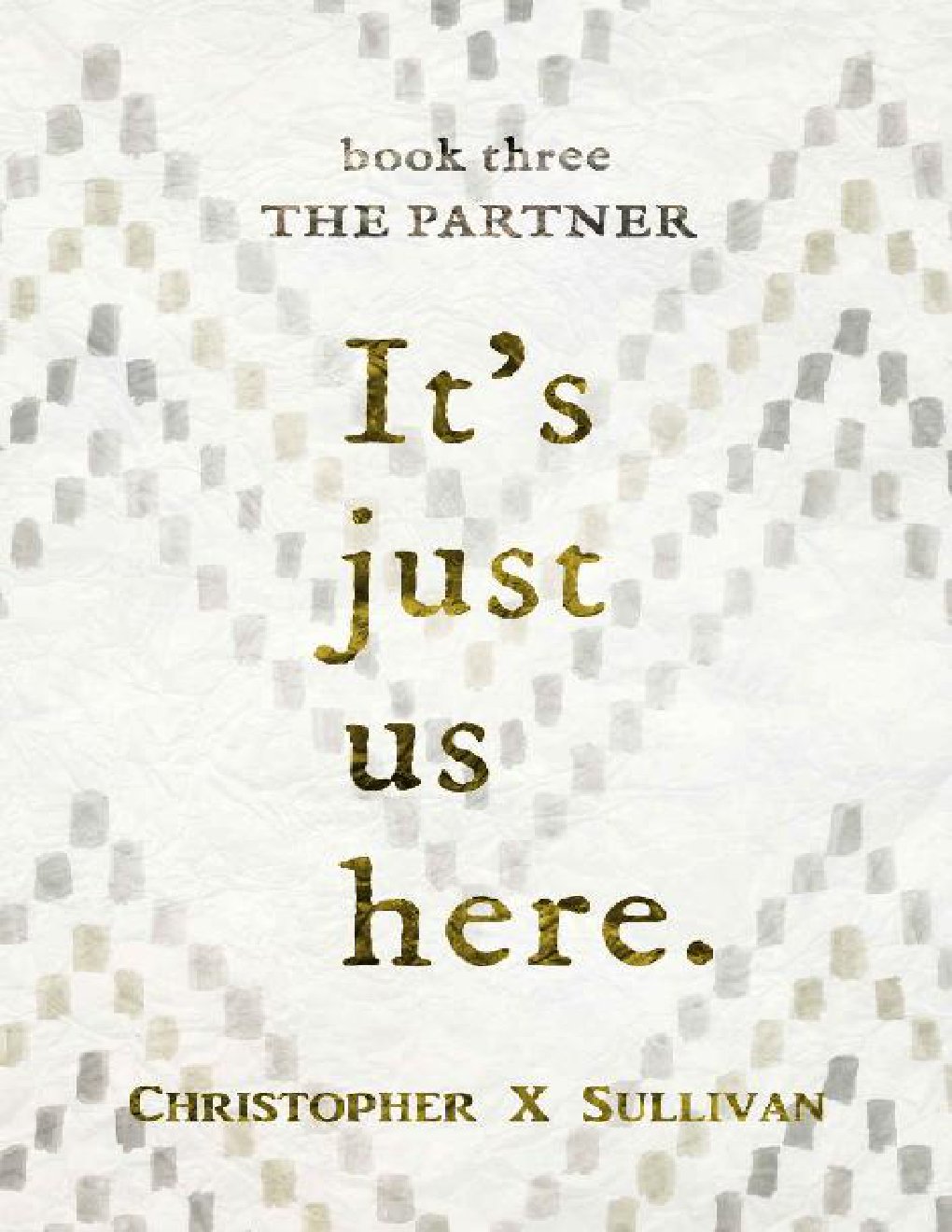 Cover of The Partner (It's Just Us Here Book 3)