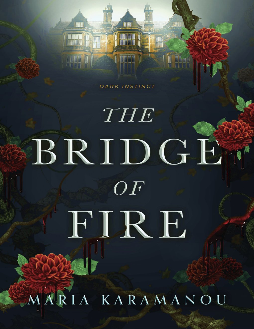 Cover of The Bridge of Fire